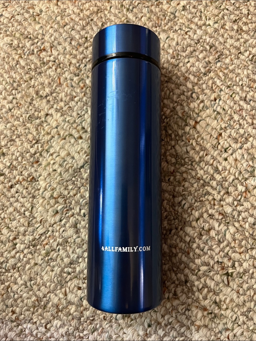 Blue Stainless Steel Travel Bottle